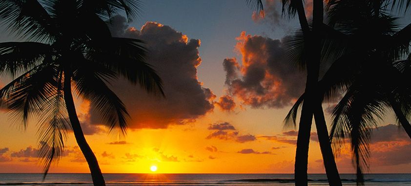 在线电话轰炸网页版